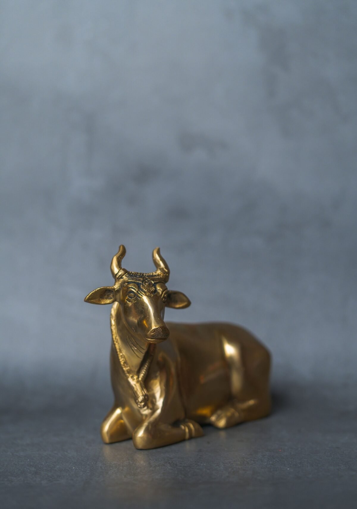 Beautiful Brass Cow/ Nandi ,Surabhi for Altar figurines, Cow statue, Hare Krishna, altar decorations, Indian Cow,Cow,Metal sculpture