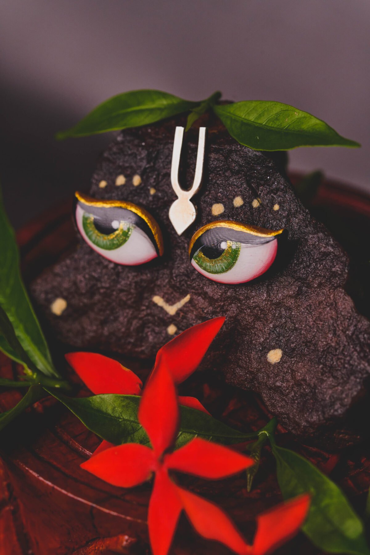 Eyes for Deities (Govardhan or Shaligram) , Krishna Style, Hare Krishna, Giriraj eyes.